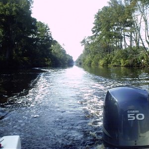 Heading north in the canal away from the boat ramp