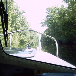 Quite waters of the Dismal Swamp Canal