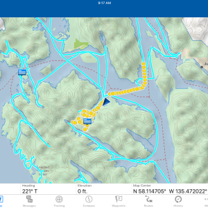 Large view Hoonah & Port Fredrick area