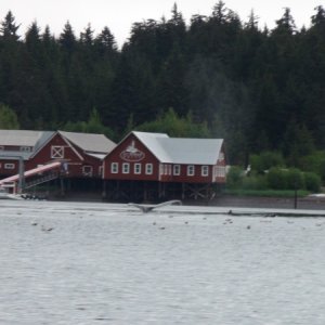 A whales tale, Hoonah, Icy Point