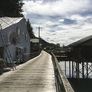 Pelican board walk