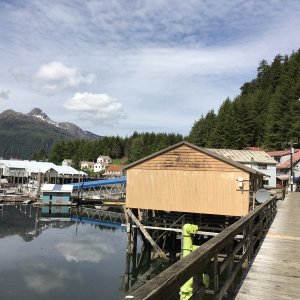 Pelican board walk