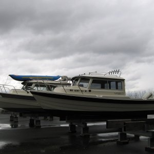 Media 'CDory next to Cape Cruiser' in album 'CDory next to Cape Cruiser'