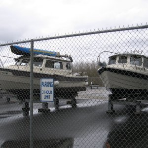 Media 'CDory next to Cape Cruiser' in album 'CDory next to Cape Cruiser'