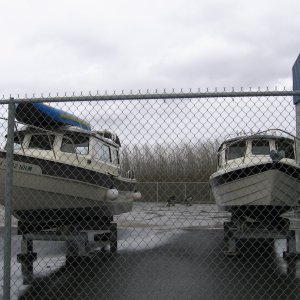 Media 'CDory next to Cape Cruiser' in album 'CDory next to Cape Cruiser'