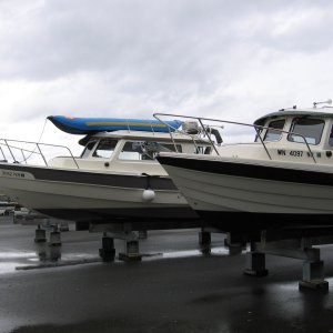 Media 'CDory next to Cape Cruiser' in album 'CDory next to Cape Cruiser'