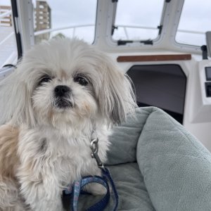 Media 'Our little Willow' in album 'Willows home. When not on the water.'