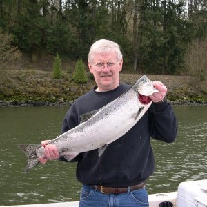 My first Big C springer.  Caught 12 pounder below Kalama on a wrapped kwikfish on March 13, 2004.