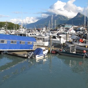 IMG 0659