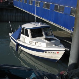 IMG 0661