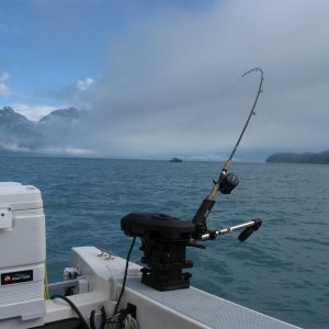 IMG 0663