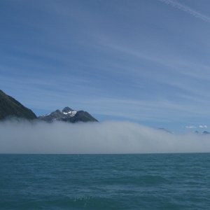 IMG 0668