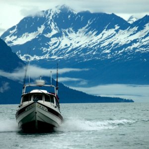 3rd Byte in Valdez Narrows