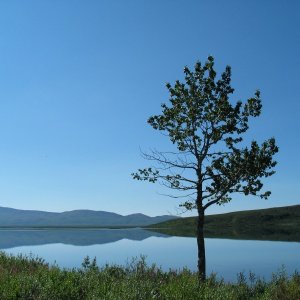 A calm day on Summit Lake, AK