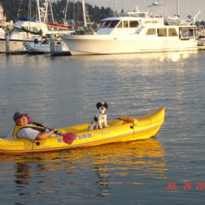 Pat & Baxter
DAYDREAM