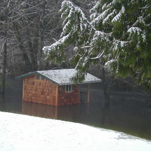 Mason's cabin during the flood, late 2003.