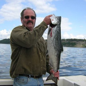 Nice blackmouth caught 4/9/05 off Everett