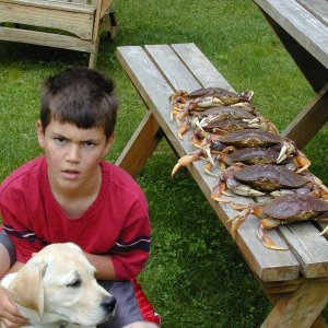 (Mason C. Bailey) Getting ready to cook up 8 crab.