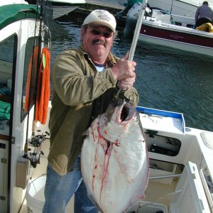 50-55 lb Halibut, opening day at Neah Bay, 5/15/07.