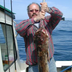 Nice ling caught at Swiftsure Bank, 5/17/07.  We had our limits of Halibut and lings in about an hour.