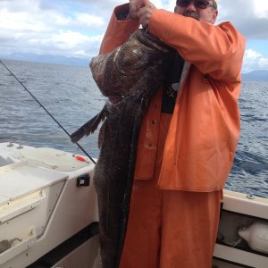 40lb Ling Cod, Neah Bay, WA  April 2014