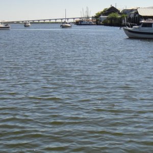 DSC00978