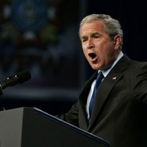 bush4