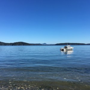 Media 'On the hook in Lopez Sound' in album 'Arriving home in Bellingham'