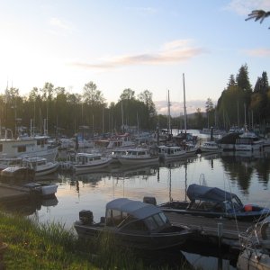 boats
