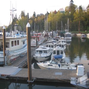 more boats