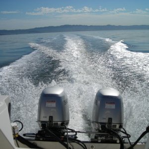DSCN0329