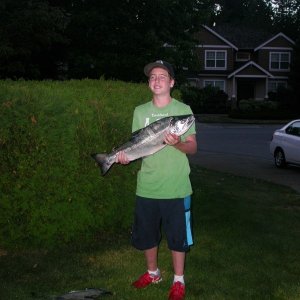 10 lb coho caught on a mini white flasher with a pink hootchie.