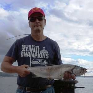 One of 2 coho caught at Picnic Pt, 70-85' down with white uv hootchie