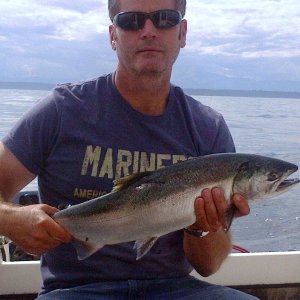 2nd coho caught 95' down, sunday 8/31/14.  only couple of hours fishing