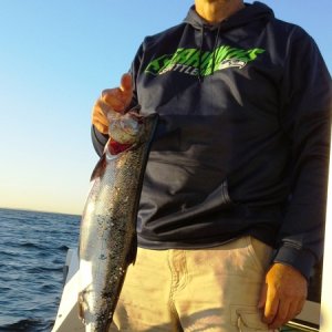 Shilshole silver 9/13/14 caught N of Meadow pt