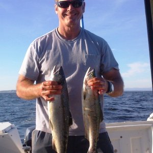 Media 'Hatchery Coho and Pink off the Edmonds breakwater.  Coho @ 51` on pink mini hootchie.  8/1/15' in album 'Baby Island Blackmouth caught on 10/7/06, one on a 4" glow sliver horde plug and one on a coyote spoon / hot spot flasher combo.  released plent of shakers'