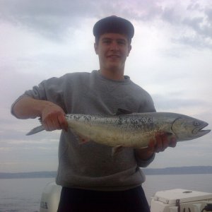 Jeff Head blackmouth, coyote spoon, 100 feet of water.  Lost a hot coho at the surface, 10+ lbs and another big fish before dusk, couldn't tell species of salmon.
