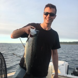 All coho caught @ 60-75' of wire, green or white hootchie with hearing strip.