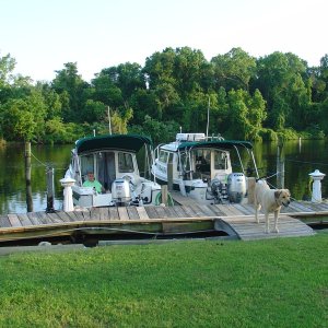 Media 'Munchkin & Pandy Girl at CW Marina' in album ''Munchkin' is the first in the parade of the C-Dory family to arrive at the NC Visitor's Center on the Dismal Swamp Canal at 1422L on Saturday, 20 May 2011.'