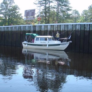 Munchkin in Deep Creek Lock