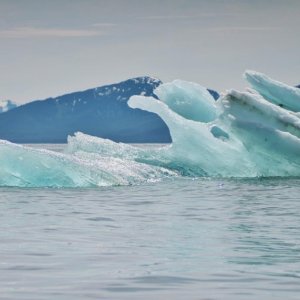 Bergie bit or ice berg?