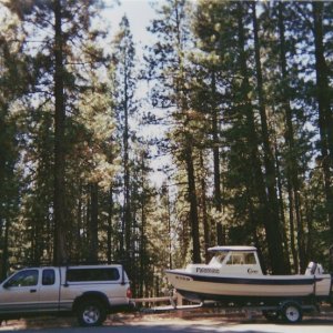 Media 'Hauled out after fishing' in album 'Hauled out after fishing'