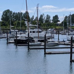 Point Roberts 1