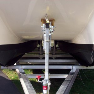 Raised Paint Line Bow