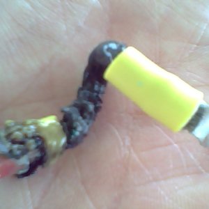 Burnt AC wire...I believe the culprit was corrosion causing resistance and thus heat when connected to shore power.