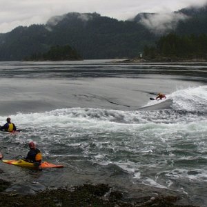 image037