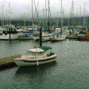(R/J): C-Run at the John Wayne Marina, Sequim.