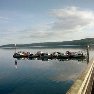 (Roberta Krumm) What a morning!