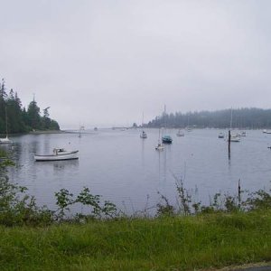 Early morning fog rising, now I see the boats in Mystery Bay.  Looking North toward the entry channel.