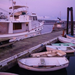 January 2010 553
